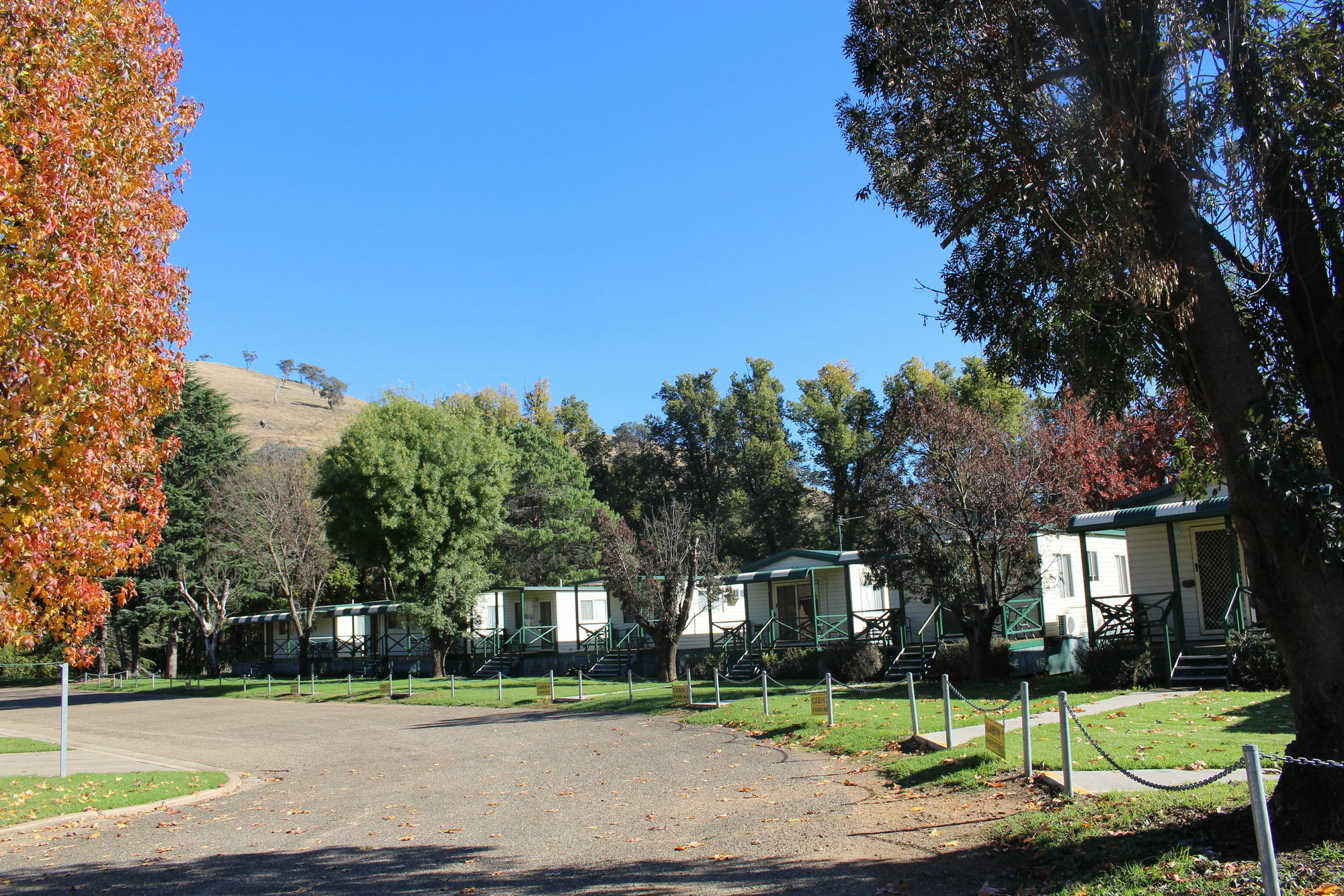 Gundagai Cabins & Tourist Park Exterior foto