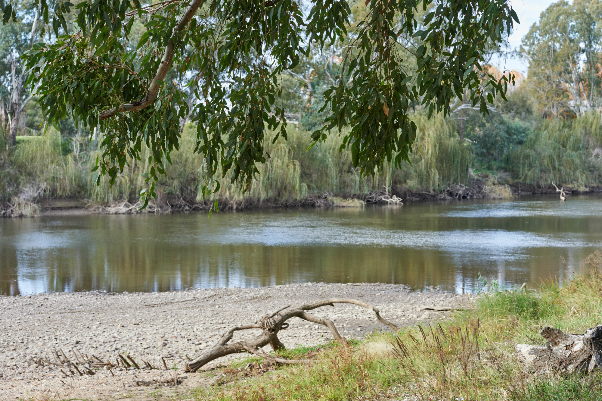 Gundagai Cabins & Tourist Park Exterior foto